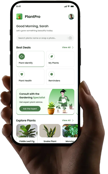 Mobile App